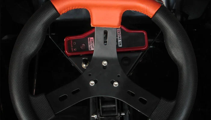 Adult Gas Go-Kart
